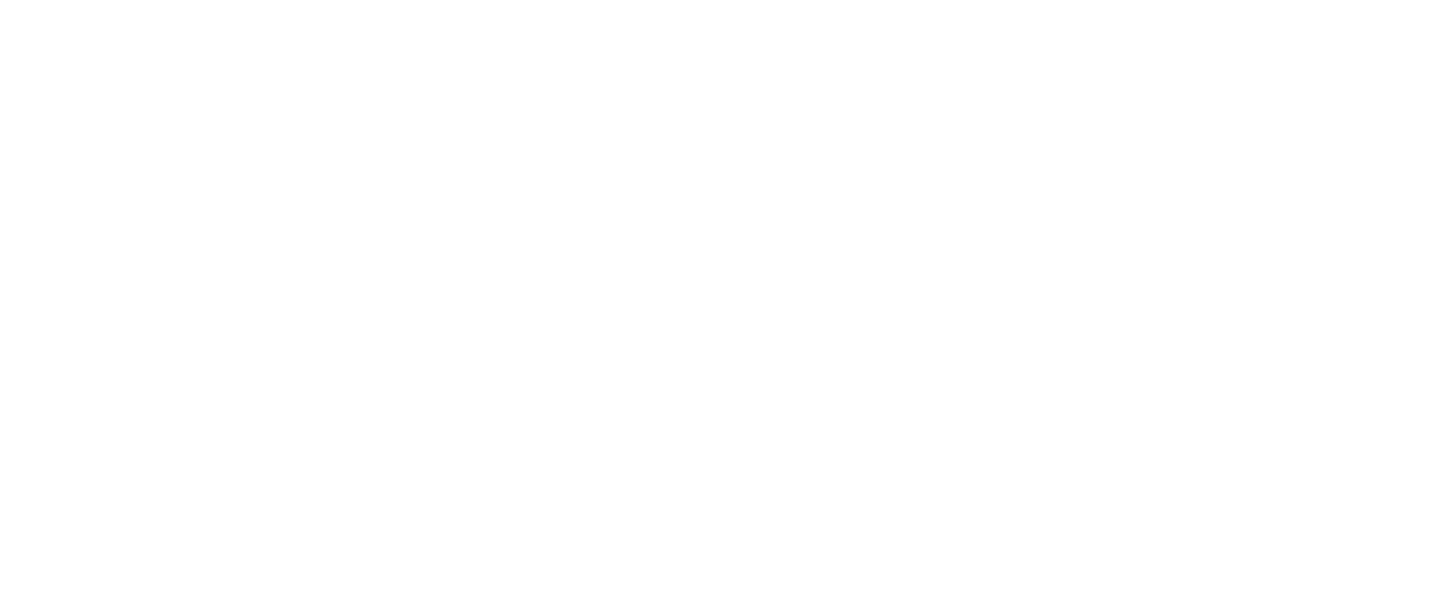 The Commerce Team